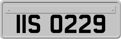 IIS0229