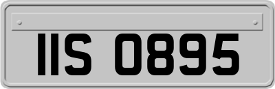 IIS0895