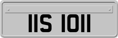IIS1011