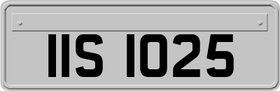 IIS1025