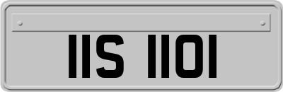 IIS1101