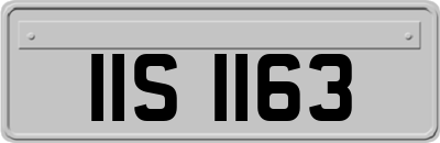 IIS1163