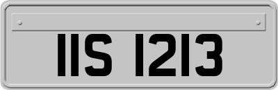 IIS1213