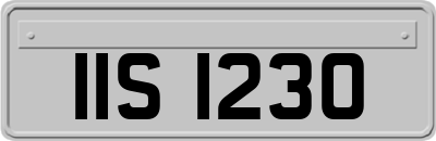 IIS1230