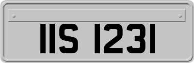 IIS1231