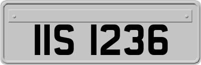 IIS1236