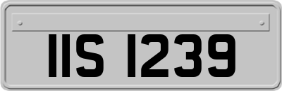 IIS1239