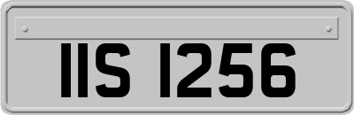 IIS1256