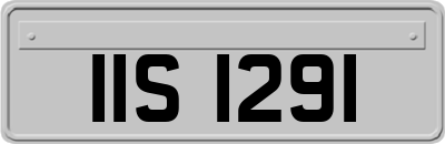 IIS1291