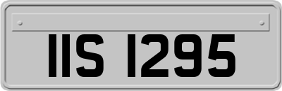 IIS1295