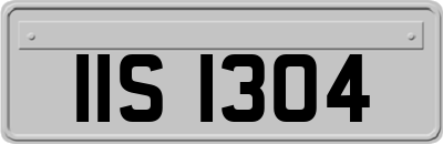 IIS1304