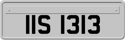 IIS1313