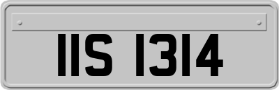 IIS1314