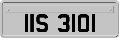 IIS3101