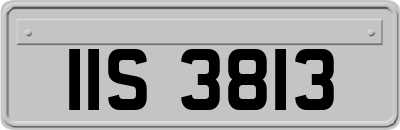 IIS3813