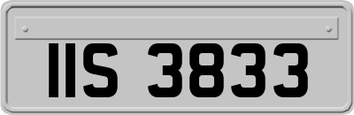IIS3833