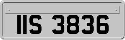IIS3836