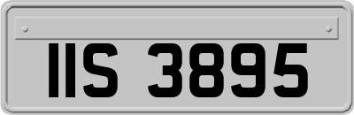 IIS3895