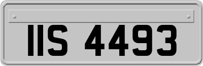 IIS4493