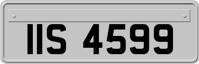 IIS4599