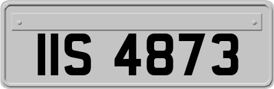 IIS4873