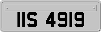 IIS4919