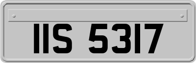 IIS5317