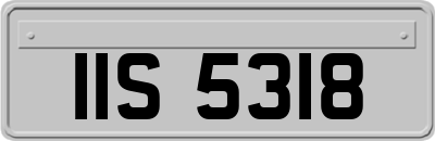 IIS5318