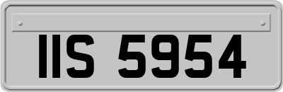 IIS5954