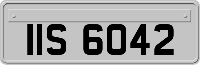 IIS6042