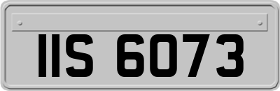 IIS6073