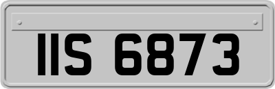IIS6873