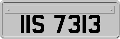 IIS7313