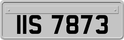 IIS7873