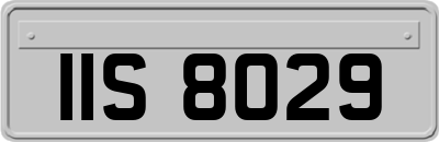 IIS8029