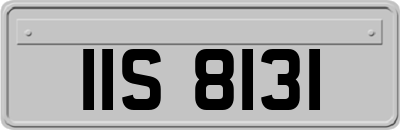 IIS8131
