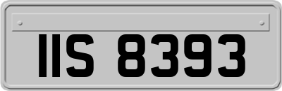IIS8393