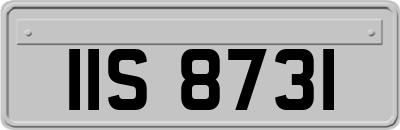 IIS8731