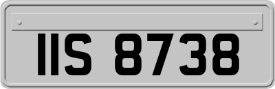 IIS8738