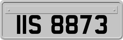 IIS8873