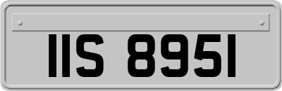 IIS8951