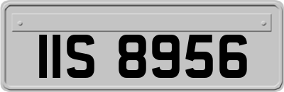 IIS8956