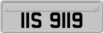 IIS9119