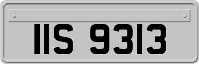 IIS9313