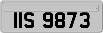 IIS9873