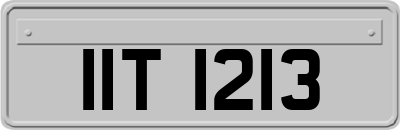 IIT1213