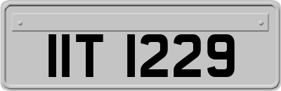 IIT1229