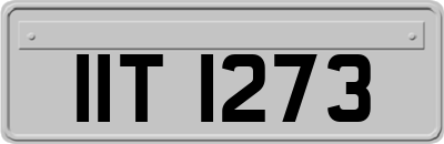 IIT1273