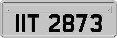 IIT2873