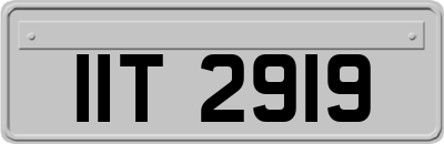 IIT2919